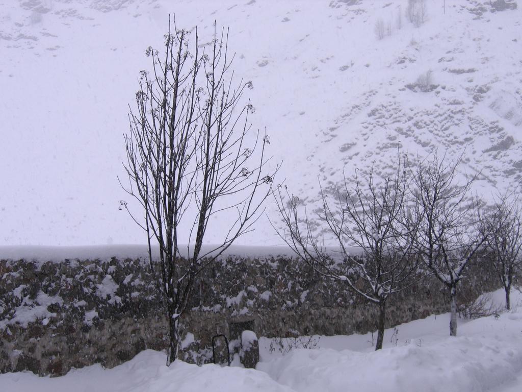 Red Stone Guest House Kazbegi Eksteriør bilde