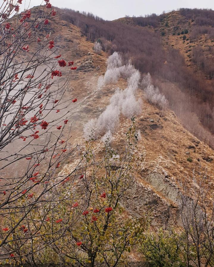 Red Stone Guest House Kazbegi Eksteriør bilde